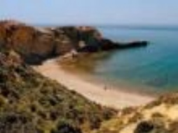 Free Land Allocation For Those Who Wish to Make Hotel on Islands