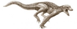 Fossile Of Troy Monster Was Found In �anakkale 