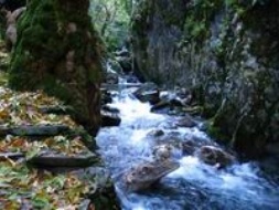 Eco Tour�sm In The Mount Ida D�str�ct
