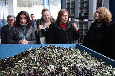  Zeytin Kurtuluş Günleri Amacına Ulaştı 