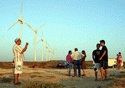  Enerjisa, Çanakkale'ye Rüzgar Santralı Kuracak 
