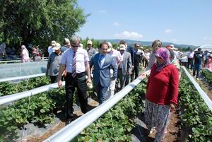  Vali Ahmet Çınar Tarla Günü Etkinliğine Katıldı 