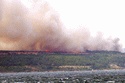  Gelibolu Milli Parkı'nda Orman Yangını Çıktı  