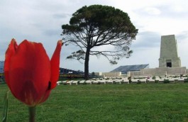 Kanlısırt Mevkiinde Şehitler Tepesi Üzerinde Bulunan Avustralya Anıtı Adını Tepedeki Tek Bir Çam Ağacından Alıyor