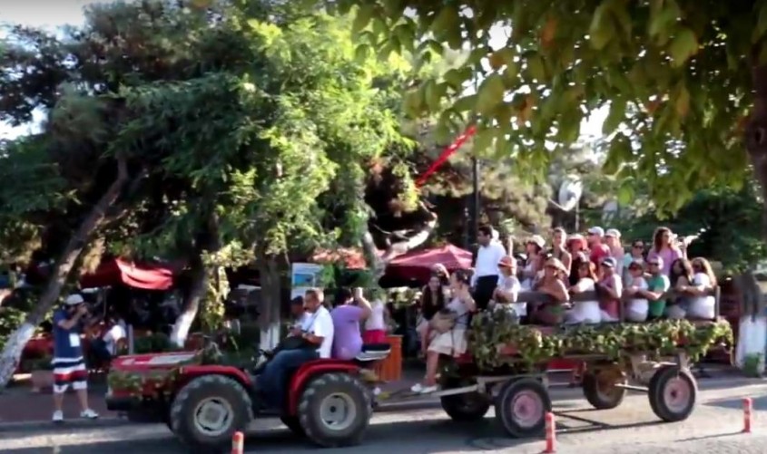  Bozcaada Bağbozumu Festivali İptal Edildi 